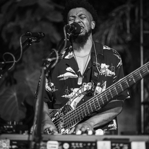 Matt Brown at The Wilder @ 6p - Palm Beach Post Events
