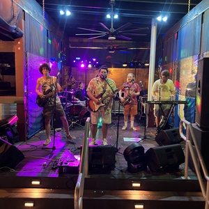 Elephants Dancing at Punta Gorda, FL in Celtic Ray Public House 2024