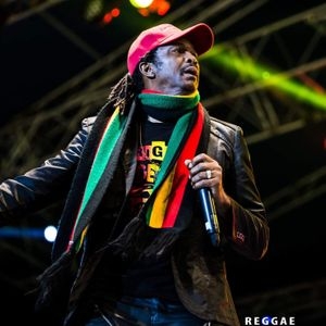 Michigan Concerts 2025 Venue