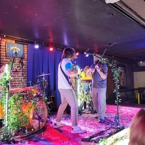 Dawson Hollow at St. Louis, MO in Blueberry Hill 2024
