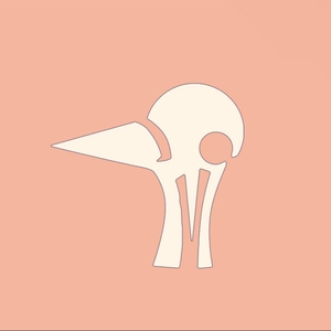 Futurebirds