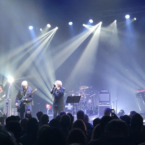 The Psychedelic Furs at undefined in undefined 2024