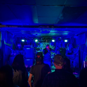 The Android Meme at Toronto, ON in Hard Luck Bar 2024