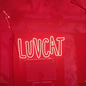 Luvcat at Manchester, United Kingdom in The Deaf Institute 2024
