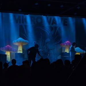 Microwave at Birmingham, AL in Iron City Bham 2024