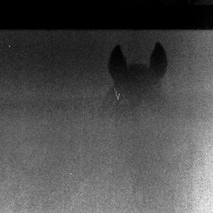 Beau Peep @ Stage & Radio