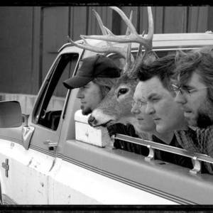 The Rockford Mules Tickets, Tour Dates and Concert