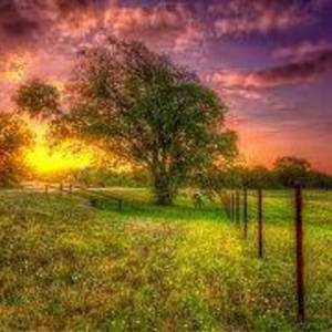 Mountains In the Sea @ Nectar Lounge