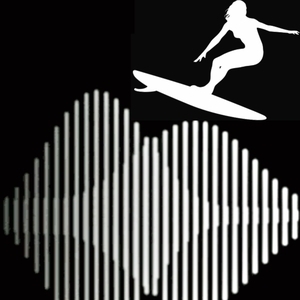 SurfingDJs Tickets, Tour Dates and Concerts