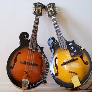 Tennessee Honey Band