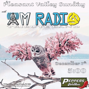 AM Radio Tribute Band @ Peppers Italian Restaurant & Bar