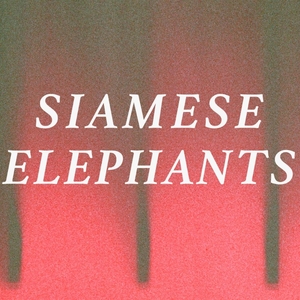 Siamese Elephants Tickets, Tour Dates and Concerts