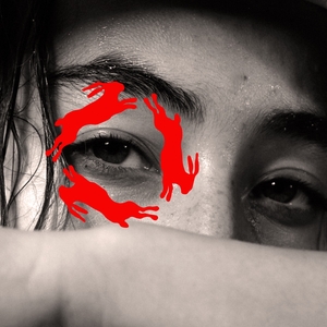 Ann Liu Cannon Tickets, Tour Dates and Concerts
