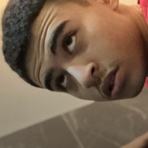 Barbieryz