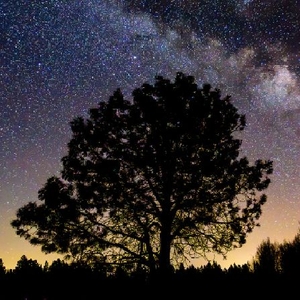 IN A LANDSCAPE: Classical Music in the Wild Tickets, Tour Dates and Concerts