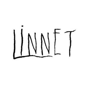 Linnet Tickets, Tour Dates and Concerts