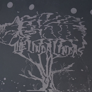 The Linda Lindas at Berkeley, CA in The UC Theatre 2025