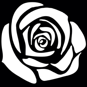 Ingressos, Datas da Turnê e Shows de Five Rose