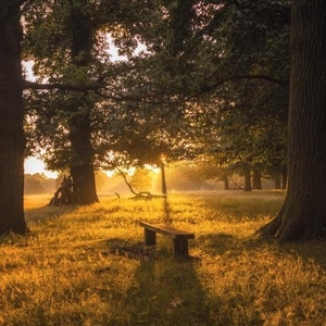 Rotterdams Philharmonisch Orkest @ De Doelen, Netherlands