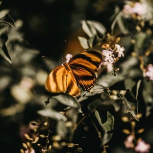 Rotterdams Philharmonisch Orkest @ De Doelen, Netherlands
