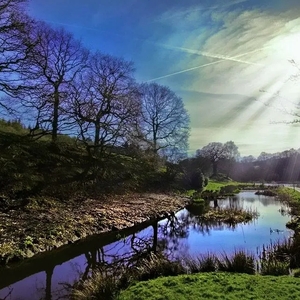 Whitebottom Farm