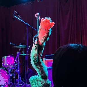 Pinkshift at Columbus, OH in Ace of Cups 2025
