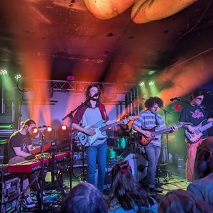 Dogs In A Pile at Jacksonville, FL in Jack Rabbits 2025