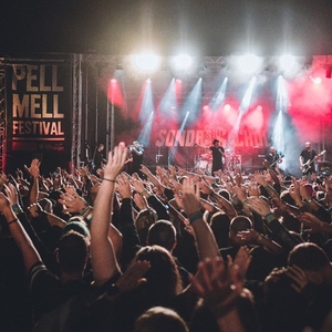 AWESOME SCAMPIS @ Pell Mell Festival