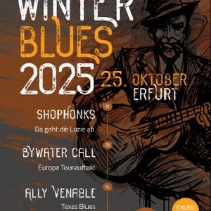 Entradas, fechas de la gira y Conciertos de Ally Venable Band