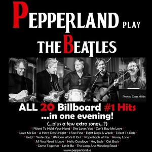 Pepperland @ Sängfabriken
