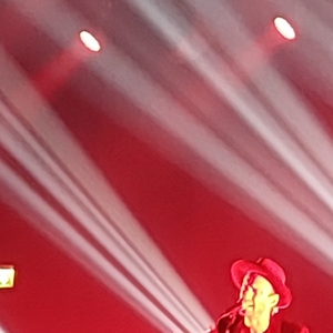 The Veils at Alkmaar, Netherlands in Podium Victorie 2025