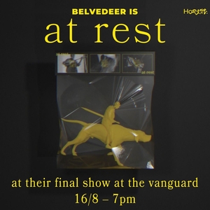 Belvedeer @ The Vanguard