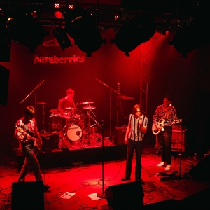 The Paraberries @ Schaudepot Zehntscheune