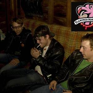 Flamingo Nosebleed