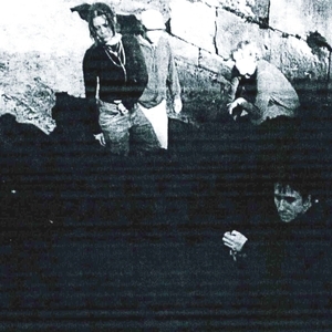 Dari Bay Tickets, Tour Dates and Concert