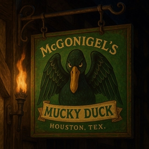Bob Schneider Music @ McGonigel's Mucky Duck