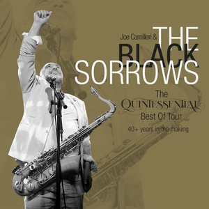 The Black Sorrows @ The Art House