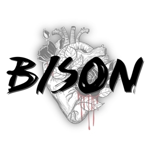 Ingressos, Datas da Turnê e Shows de BISON