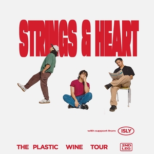 Strings and Heart @ Pearl Street Warehouse