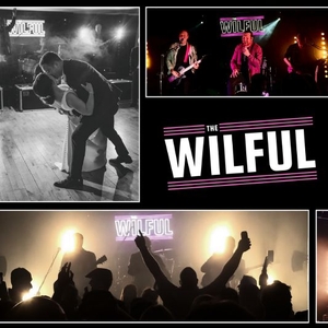 The Wilful @ Clonsilla Inn