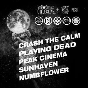 NUMBFLOWER Tickets, Tour Dates and Concerts