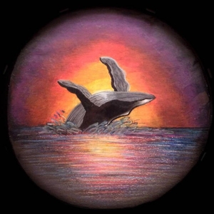 The Duskwhales Tickets, Tour Dates and Concert