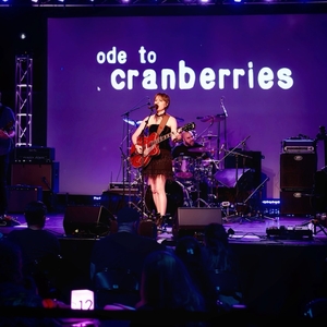 Ode To Cranberries Tickets, Tour Dates and Concerts