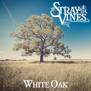 Stray Vines @ Proksa Park