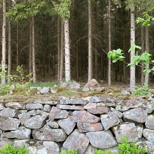 Björn Holmdén är björnen @ Tomarps Kungsgård Castle