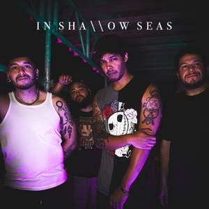 Entradas, fechas de la gira y Concierto de In Shallow Seas