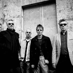 The Undertones Tickets, Tour Dates and Concerts