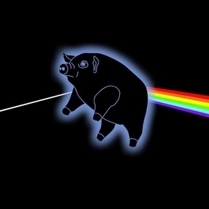 Ingressos, Datas da Turnê e Shows de Pigs on the Wing - A tribute to Pink Floyd