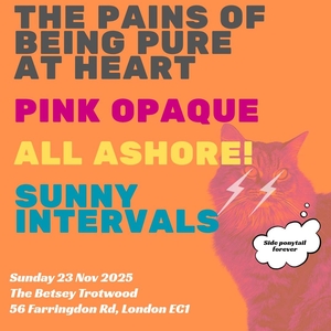 The Pains of Being Pure at Heart Tickets, Tour Dates and Concerts