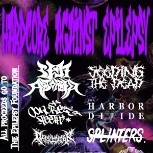 Splinters. Tickets, Tour Dates and Concerts